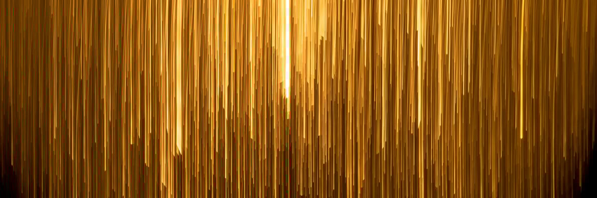 Newsletter-banner-image-Dec-24